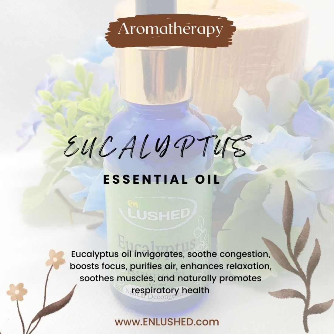 Pure Eucalyptus Essential Oil for Aromatherapy | Natural Decongestant