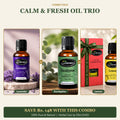 ENLUSHED Calm and Fresh Oil Trio with lavender, eucalyptus and lemon essential oils