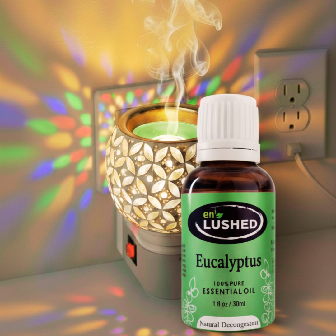 Eucalyptus essential oil with electric aroma oil burner diffuser