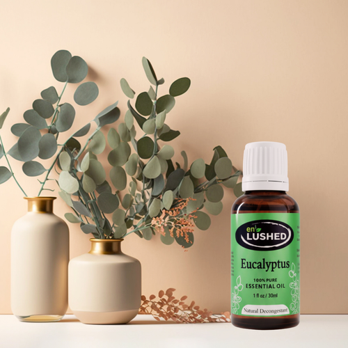 Eucalyptus essential oil bottle styled with eucalyptus leaves