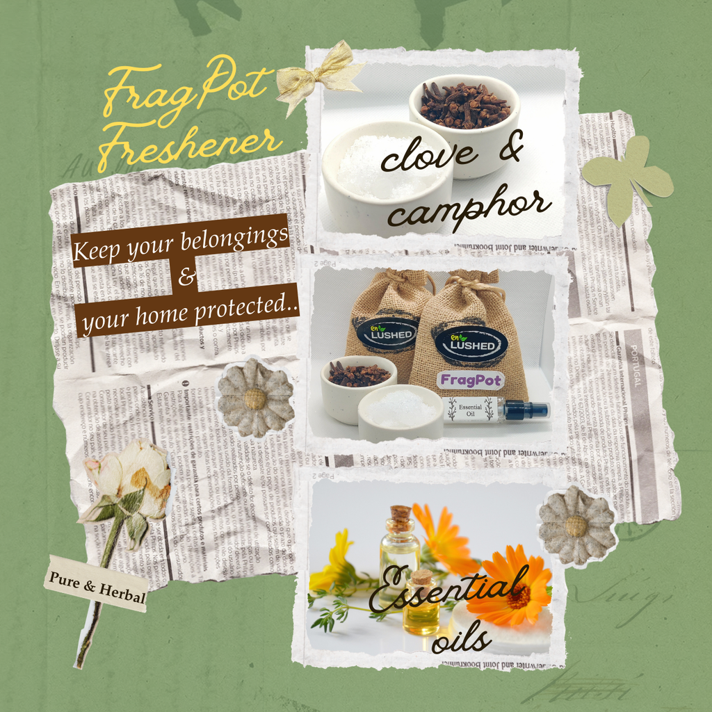 Fragpot Freshener camphor and clove ingredient illustration