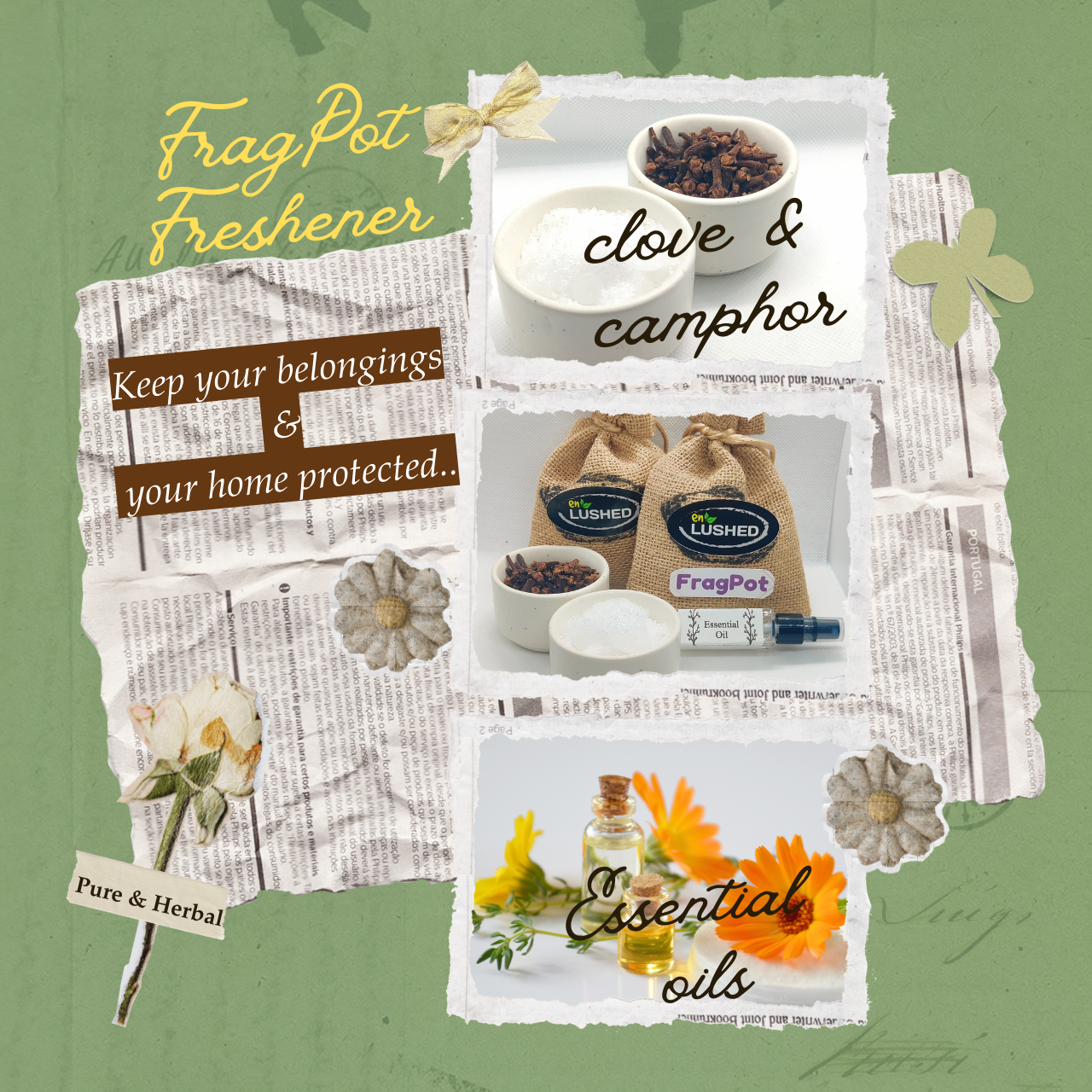 Fragpot Freshener camphor and clove ingredient illustration