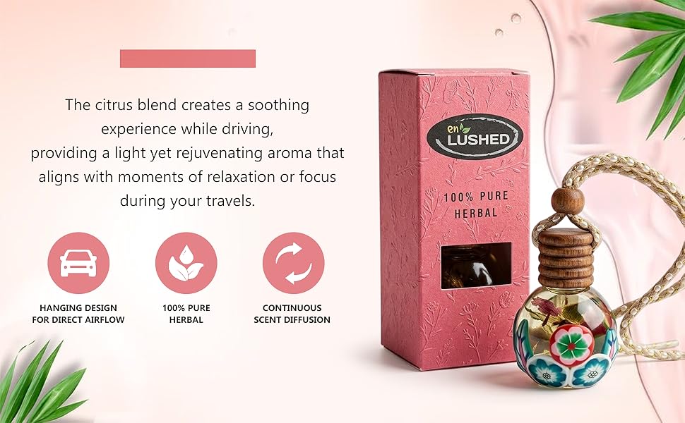 Wooden cap hanging pod air freshener with box and greenery