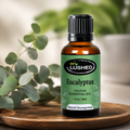Pure Eucalyptus Essential Oil bottle with fresh eucalyptus leaves, natural decongestant
